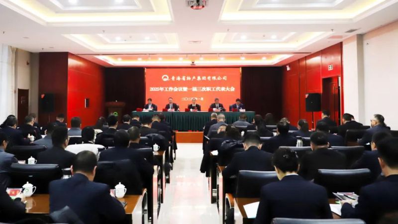 堅定信心促發(fā)展 實干爭先攀新高&mdash;&mdash;省物產(chǎn)集團(tuán)2025年工作會議暨一屆三次職代會勝利召開