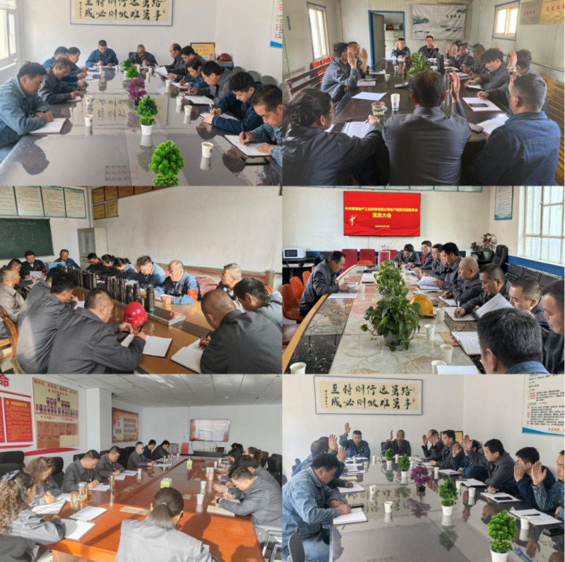 工投公司黨委圓滿完成所屬黨組織優(yōu)化調(diào)整及選舉工作