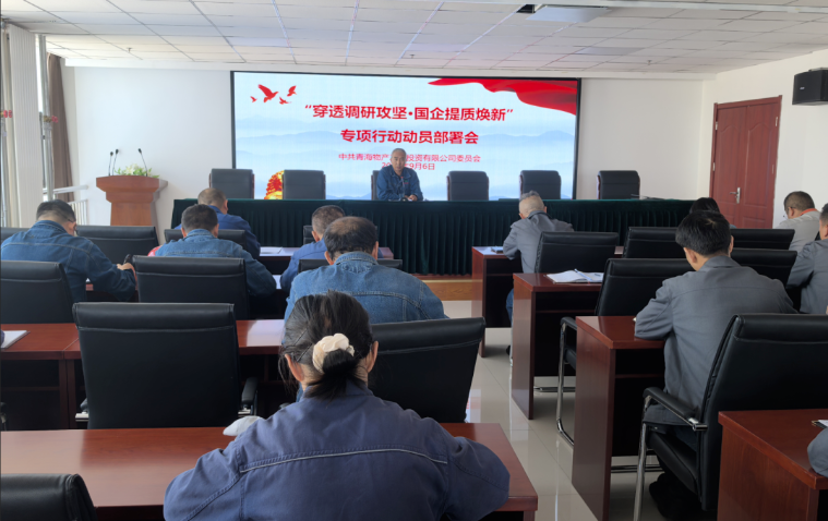 工投公司黨委召開&ldquo;穿透調(diào)研攻堅(jiān)&middot;國企提質(zhì)煥新&rdquo;專項(xiàng)行動動員部署會