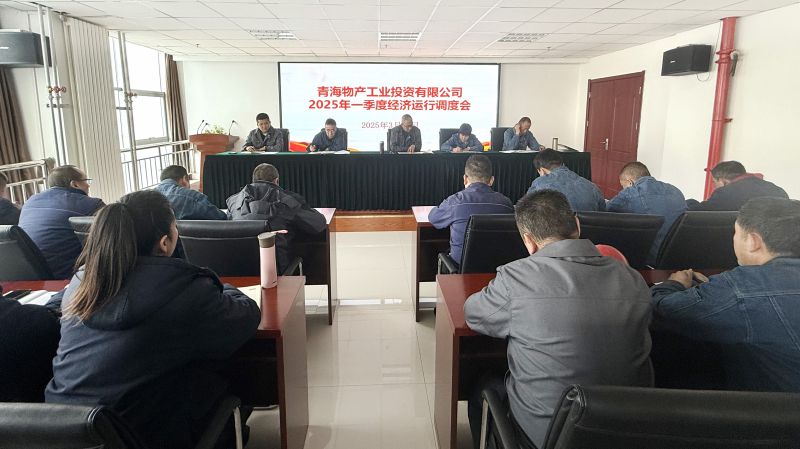 物產(chǎn)工投公司召開2025年第一季度經(jīng)濟(jì)運(yùn)行調(diào)度會(huì)